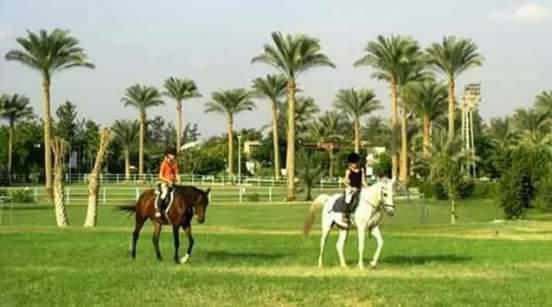 El Hawamdeya Sakkara Country Club Hotel מראה חיצוני תמונה