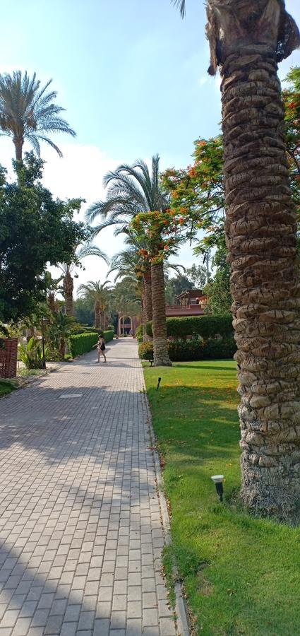 El Hawamdeya Sakkara Country Club Hotel מראה חיצוני תמונה