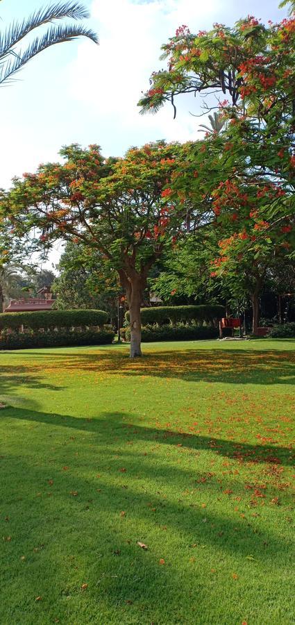 El Hawamdeya Sakkara Country Club Hotel מראה חיצוני תמונה